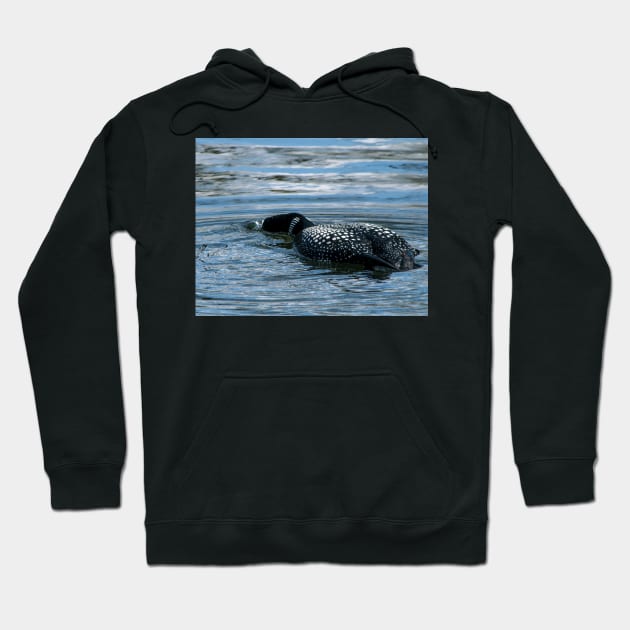 Loon blowing bubbles Hoodie by CanadianWild418